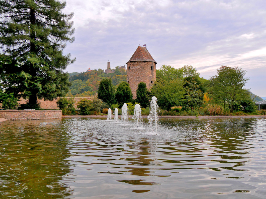 Weinheim, die Zweiburgenstadt