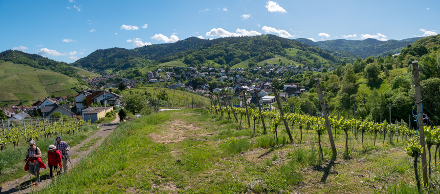 Ortenauer Weinpfad