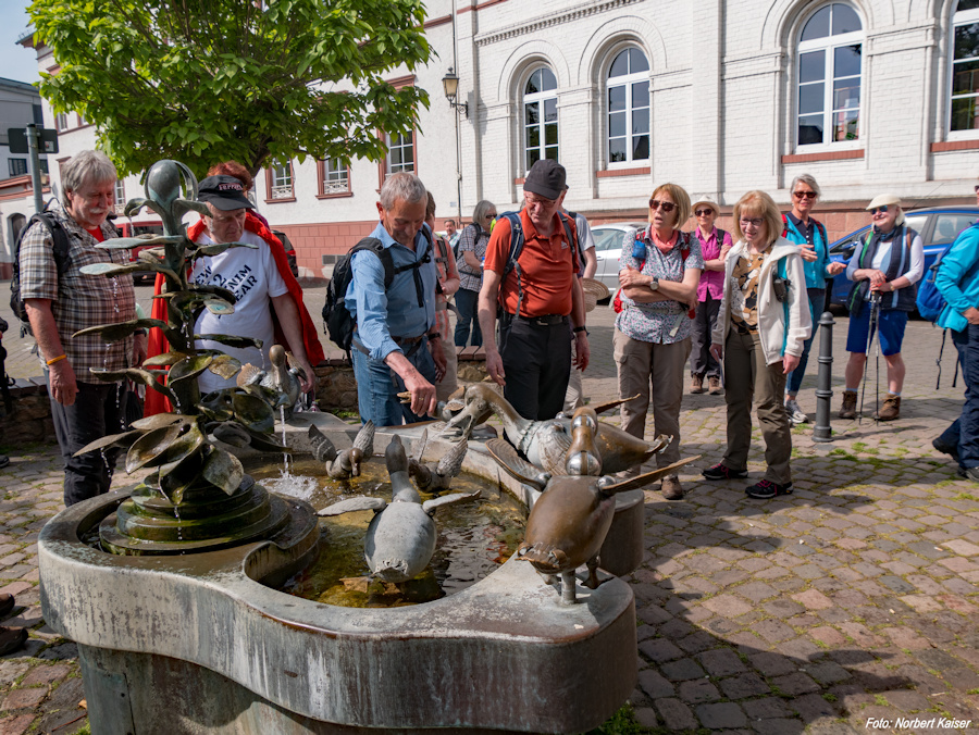 Entenbrunnen in Eltville