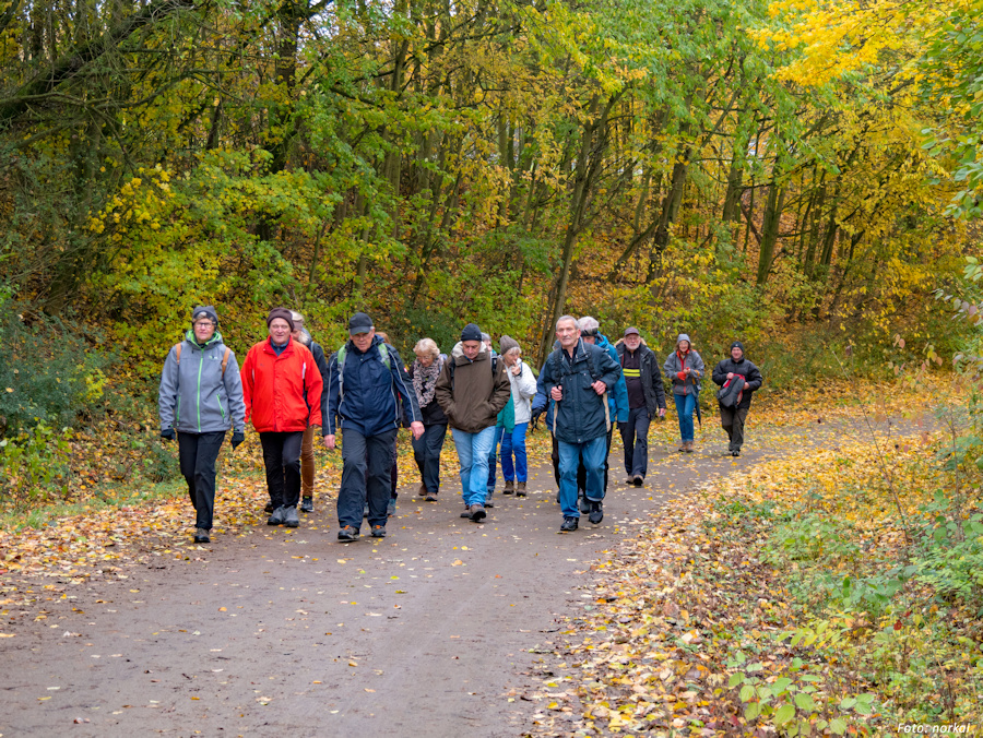 Die Gruppe der Routiniers auf dem Weg in Richtung Bad Vilbel