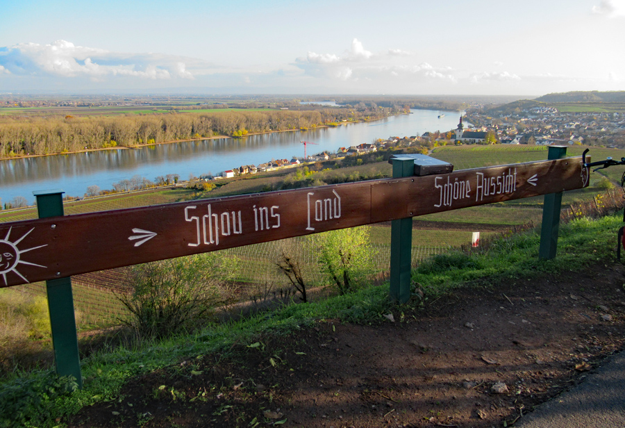 Blick auf Nierstein