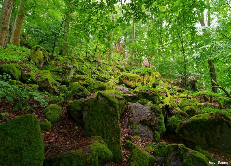 Das Steingeröll genannte Felsenmeer bei Lichtenberg