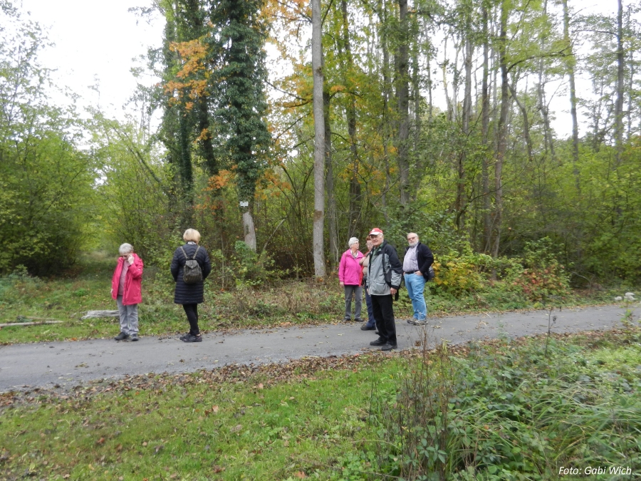 Fotos von der Wanderung am 22.10.2020