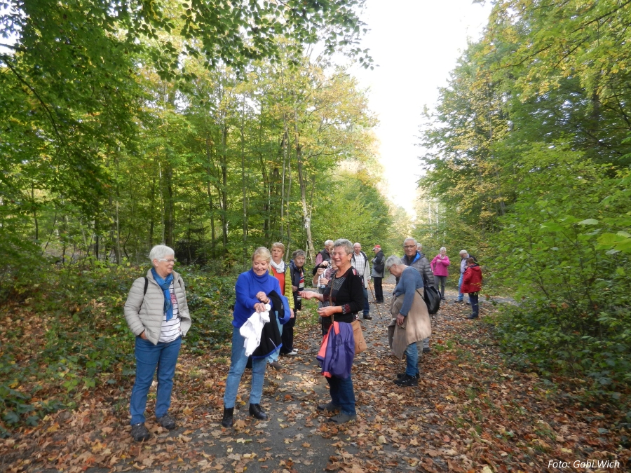 Fotos von der Wanderung am 22.10.2020