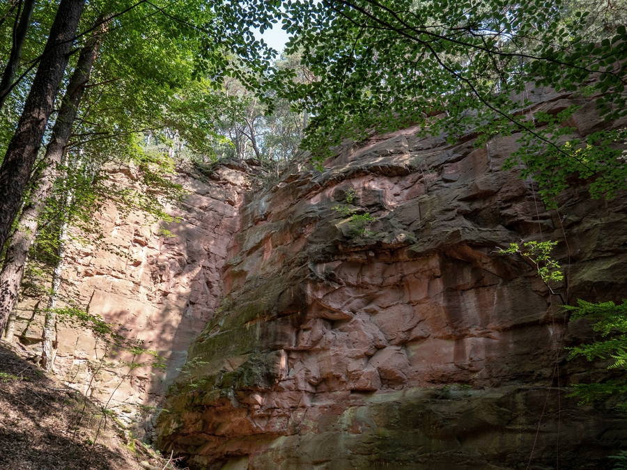 Sandsteinbruch am Burzelberg