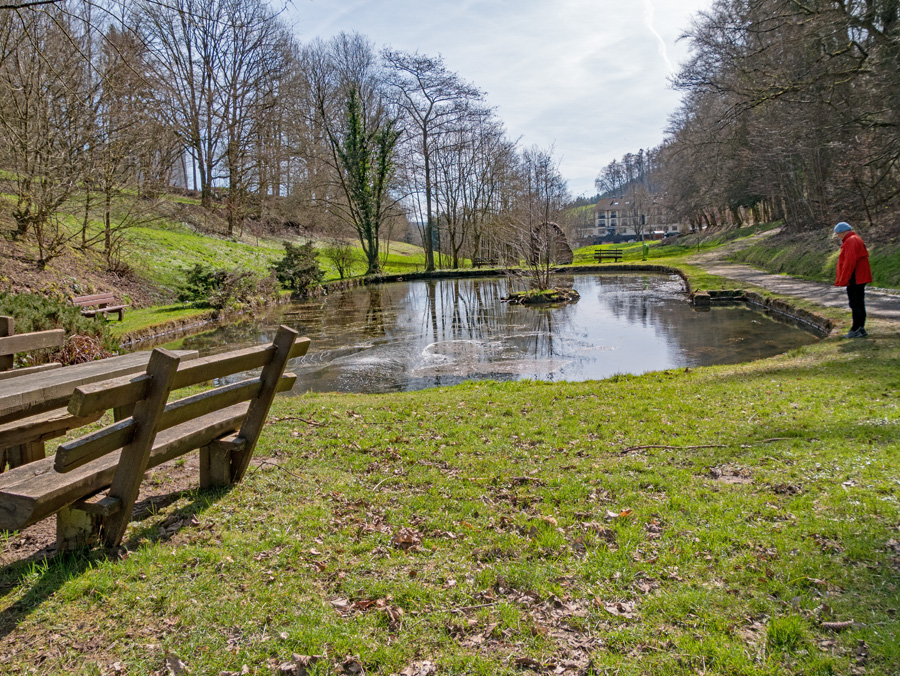 Teich-an-Kneipp-Quelle