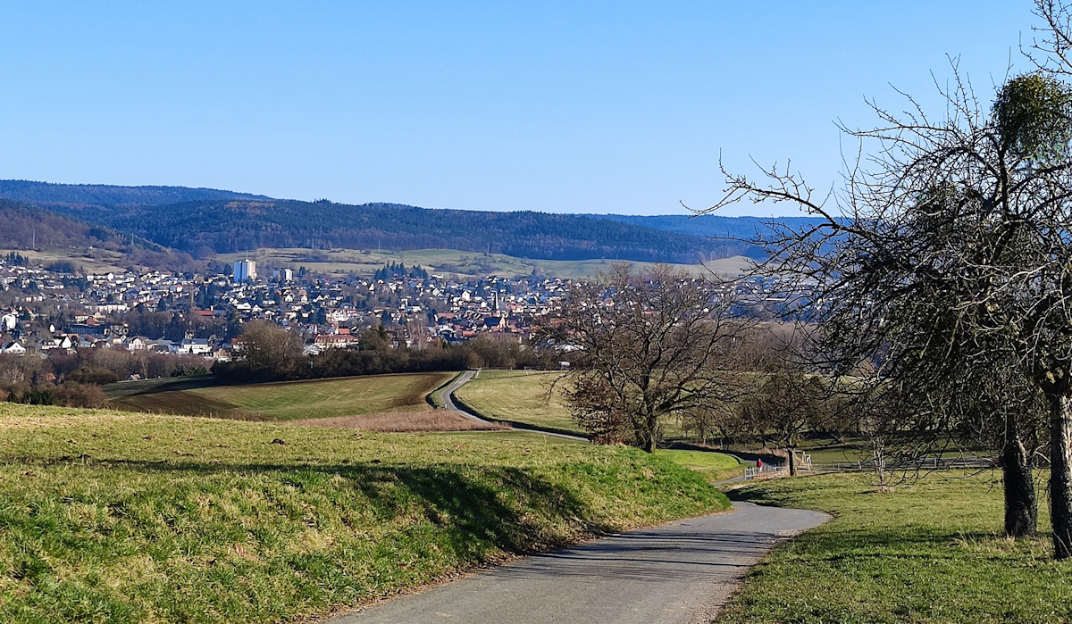 MichelstadtPanoramablick