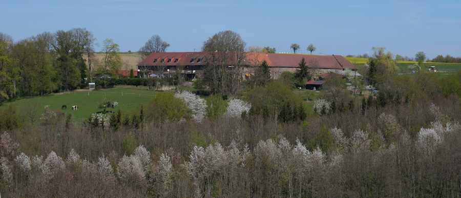 Hofgut-Hauenstein