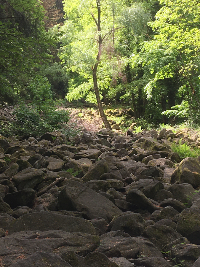 kleines Felsenmeer oberhalb von Steinau