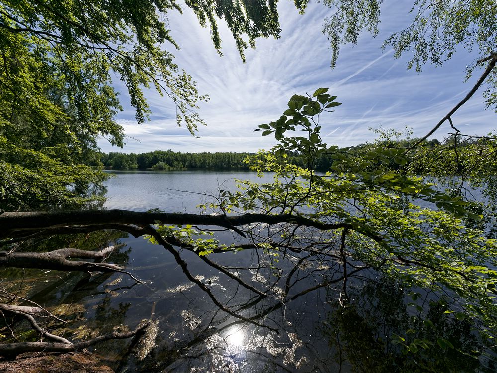 Lindensee Moenchbruch