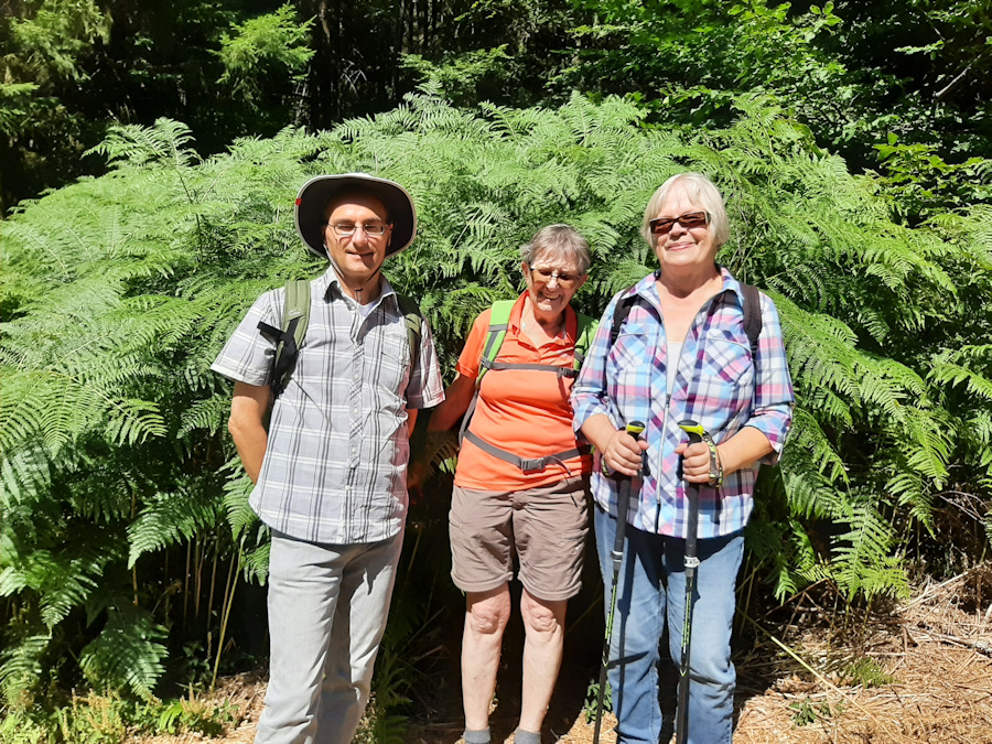 10-km Wandergruppe