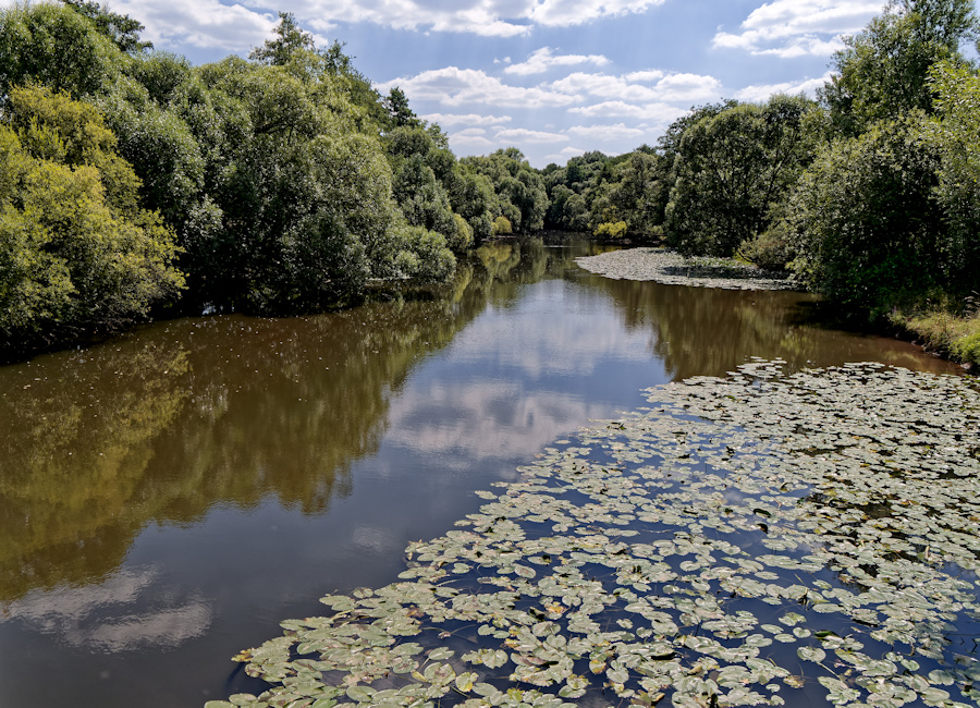 Aueweiher