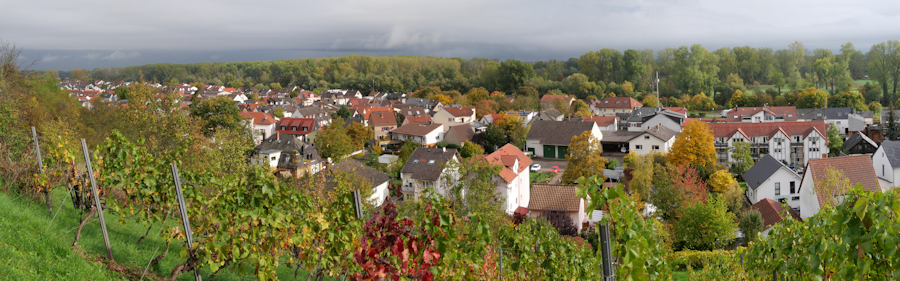 Blick auf Nackenheim