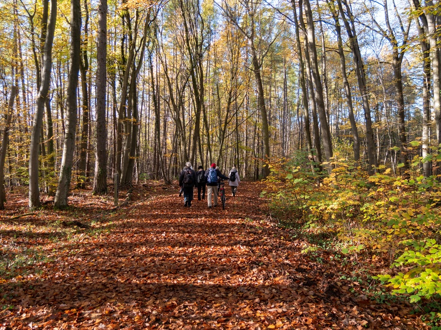 14km Wandergruppe