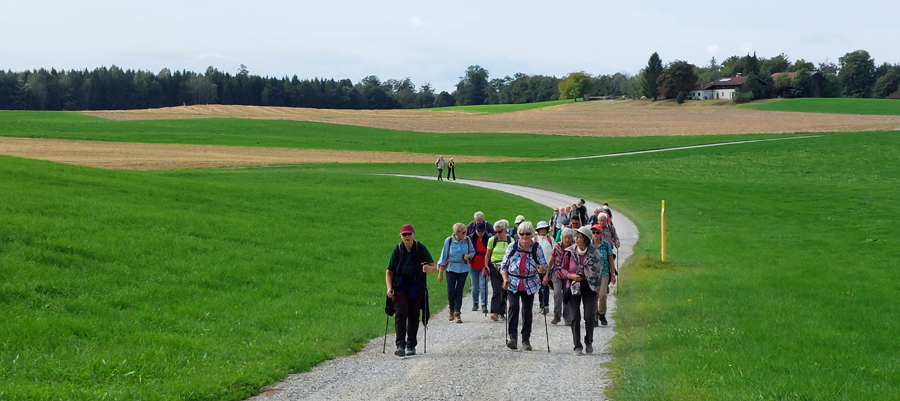 Wandergruppe-vor-Seeon