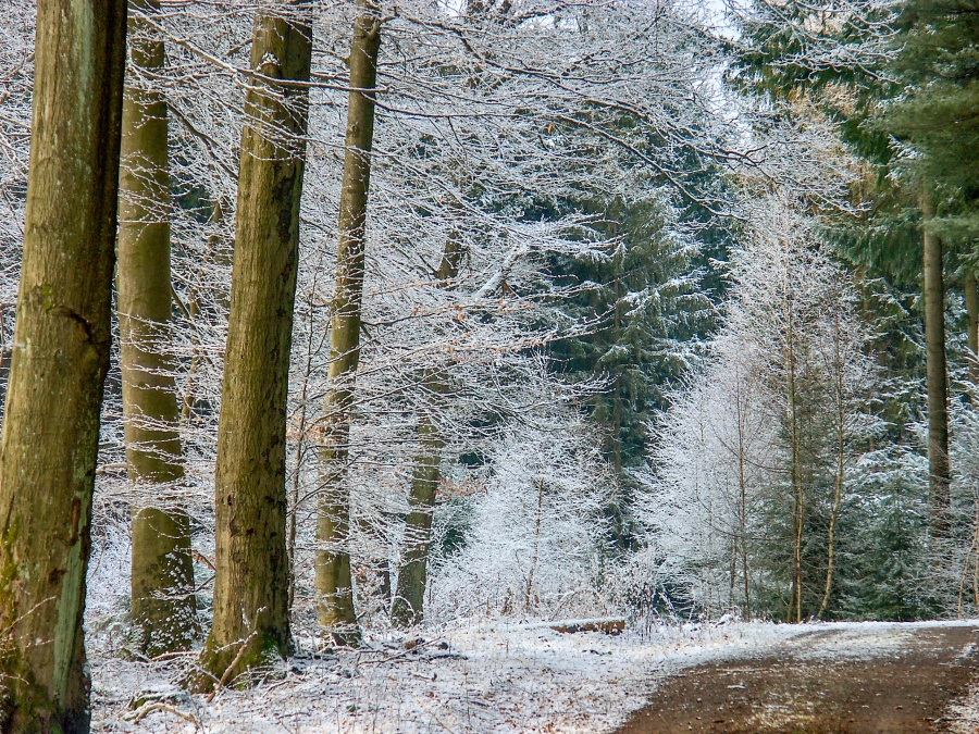 2005-01-23_Ostertal