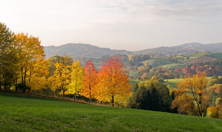 Herbst im Wechnitztal