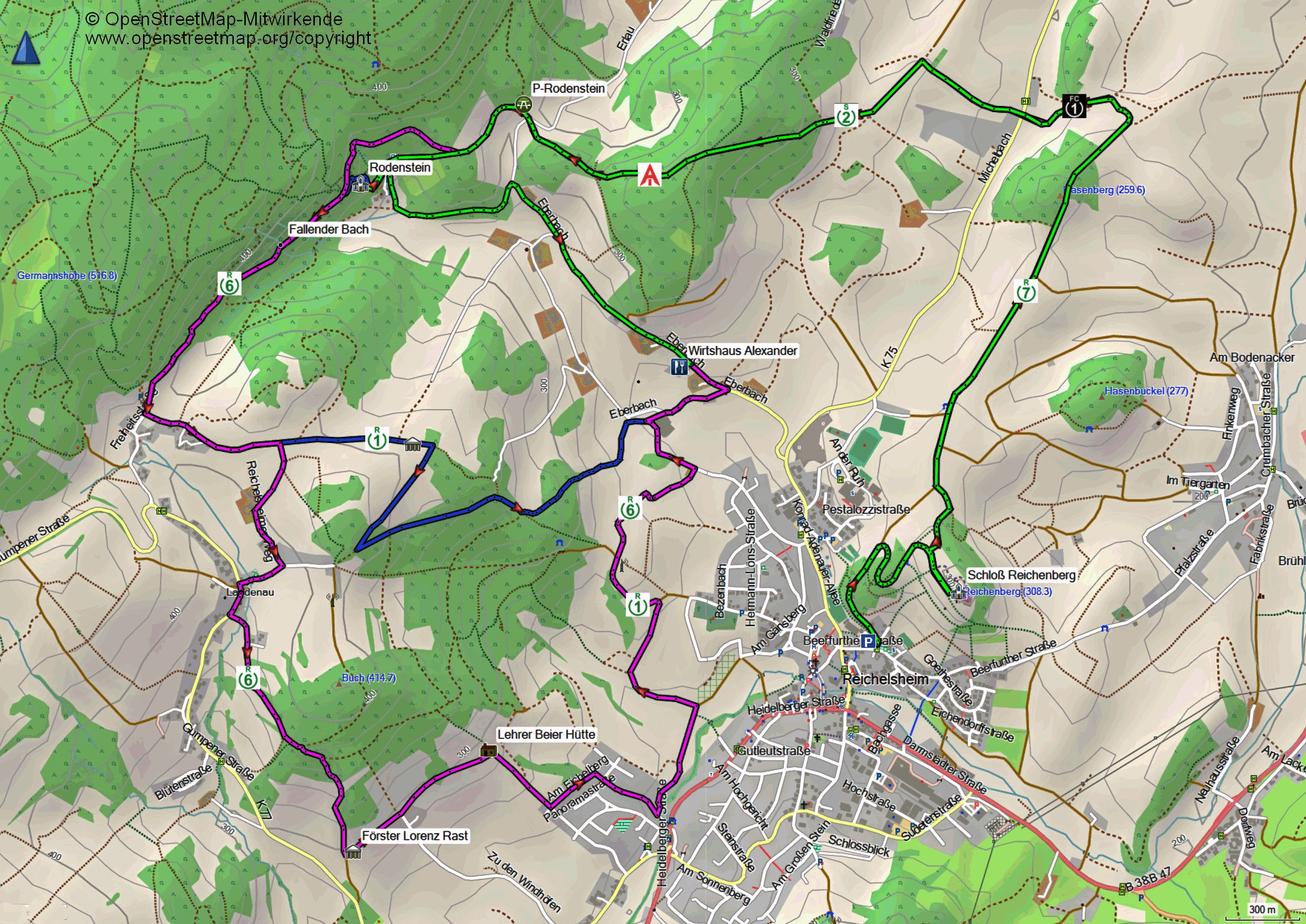 Reichelsheim_Karte_9_13_16km