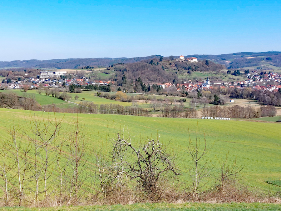 Blick-auf-Reichelsheim