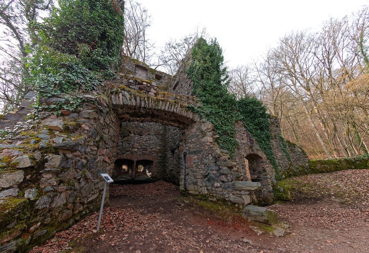 Burg-Rodenstein