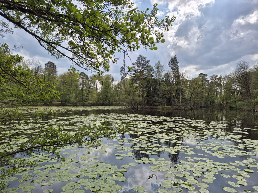 Kesselbruchweiher Kesselbruchweiher