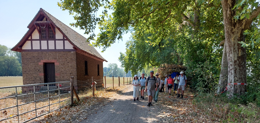 Mittelstreckler-auf-dem-Uferweg