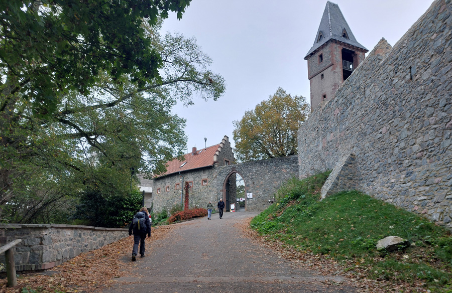Burg-Frankenstein