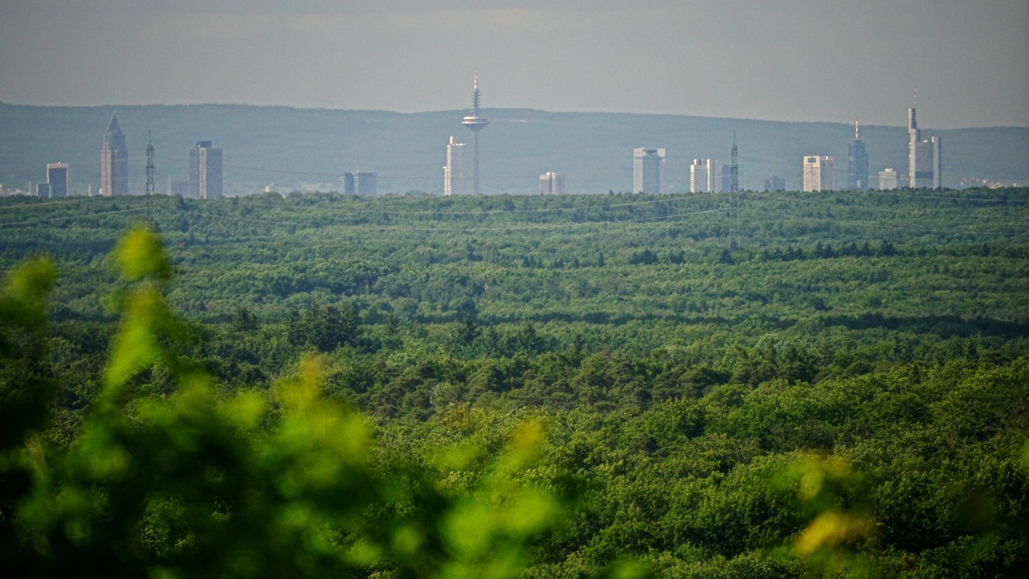 Blick vom Rehberg auf die Frankfurter Skyline, dahinter der Taunus