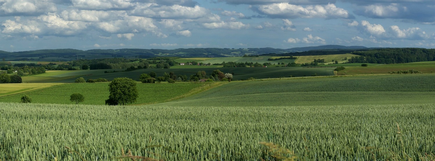 Blick vom Kamm zwischen Roßberg und Eiche zur Windlücke