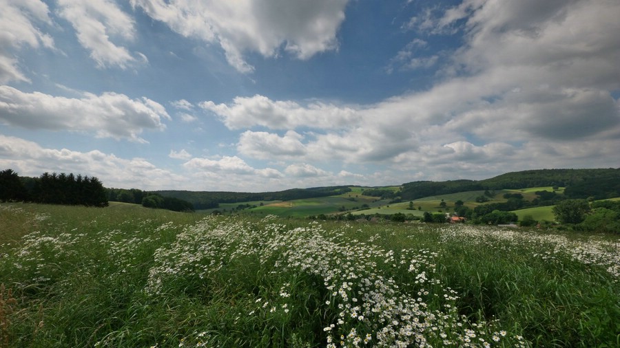 Blick auf den Böllstein