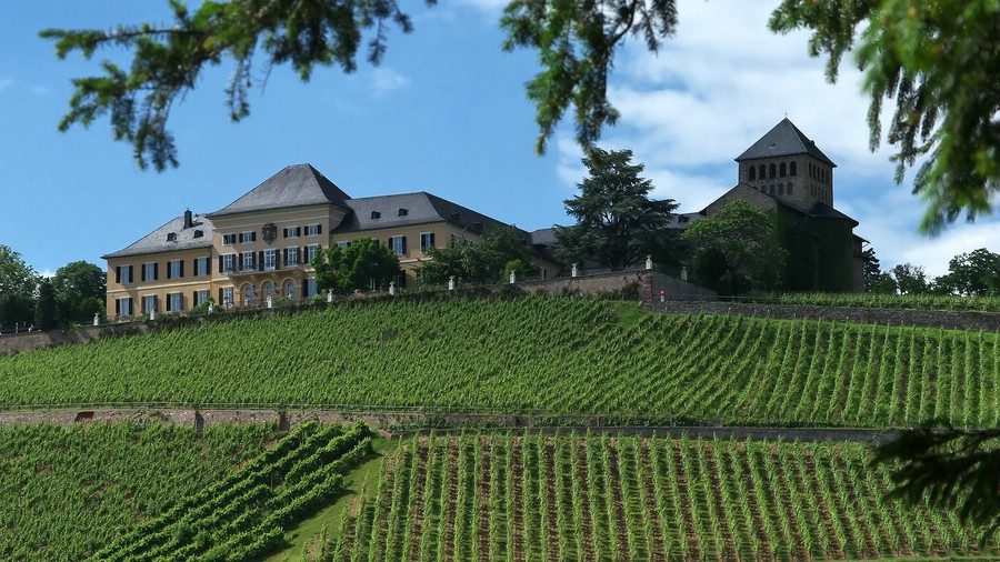 Schloss Johannisberg und Basilika von der Ankermühle aus gesehen