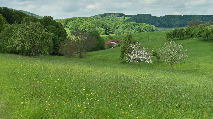 Abstieg nach Erzbach