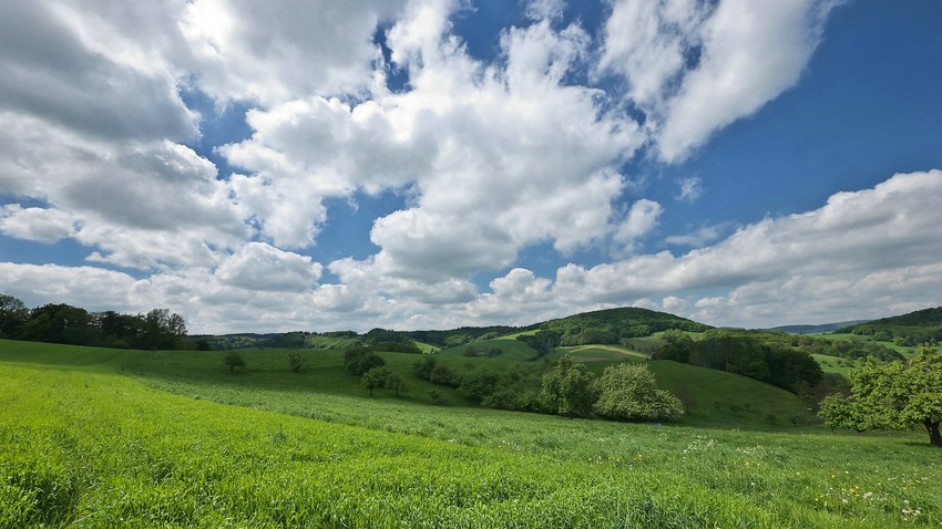 Auf der Fischershöhe, oberhalb von Erzbach