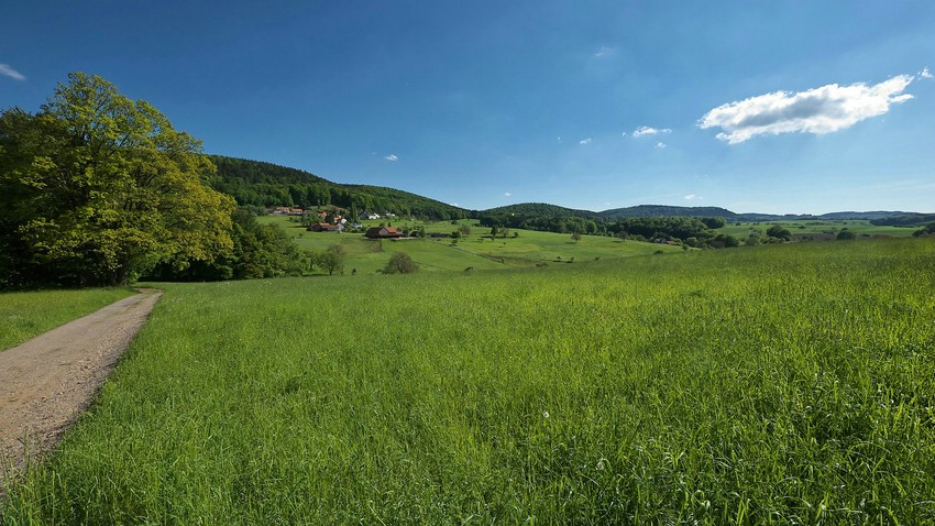 Rohrbacher Oberdorf