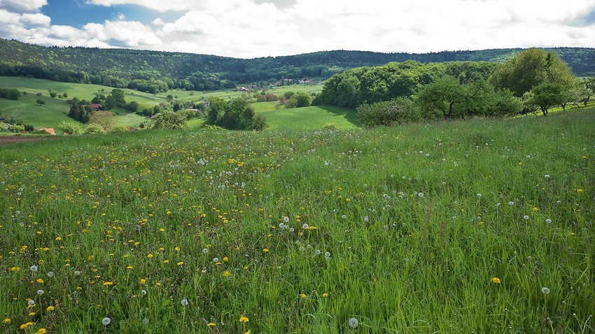 Roter Berg, Blick auf Rohrbach