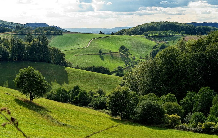 Blick in die Rheinebene, im Hintergrund der Pfälzer Wald