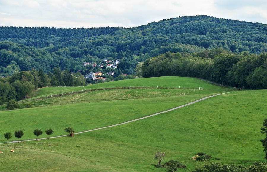 Das malerisch am Hang "klebende" Vöckelsbach