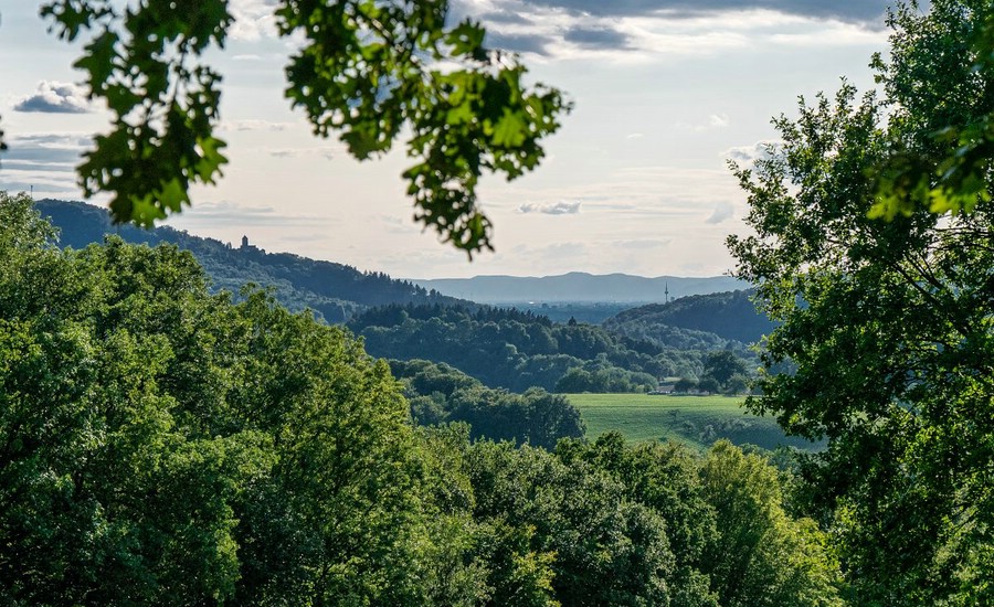 Wachenburg (links) und Mannheimer Fernsehturm (rechts)