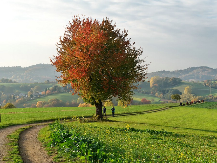 Auf dem Weg nach Reisen