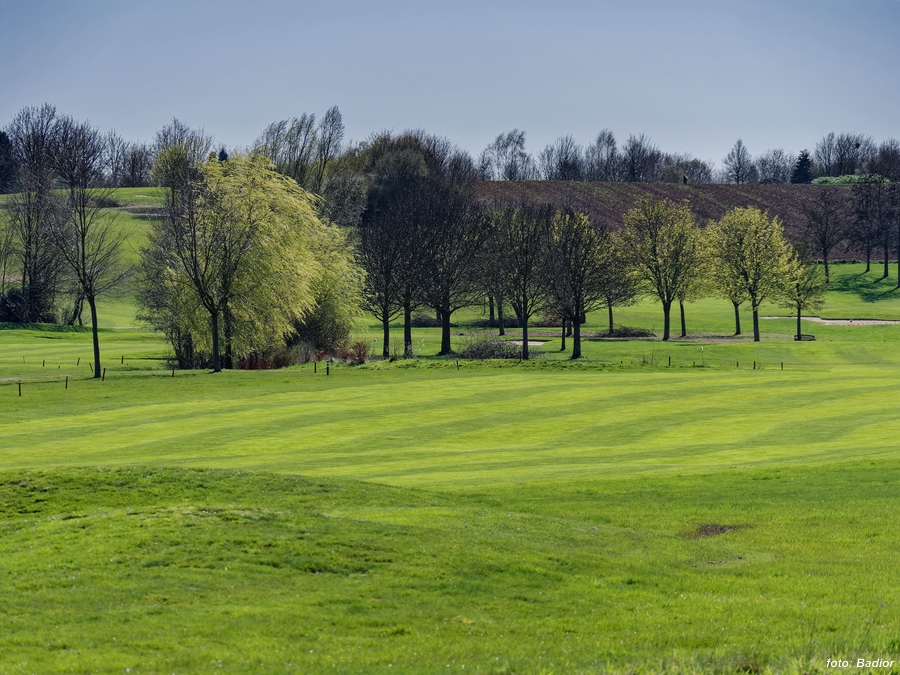 Fruehling Golfplatz