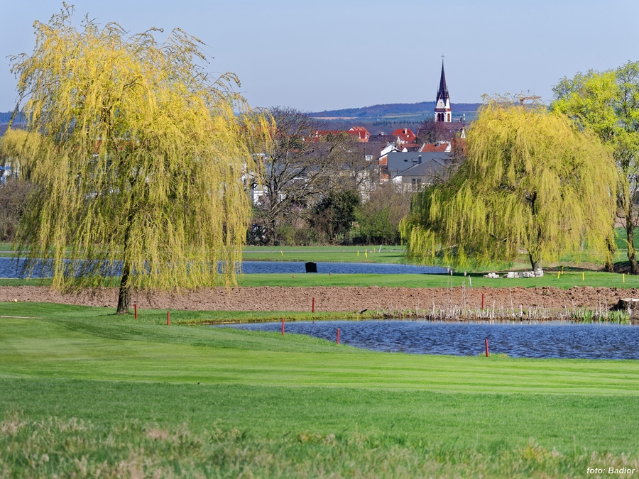 Zimmern vom Golfplatz