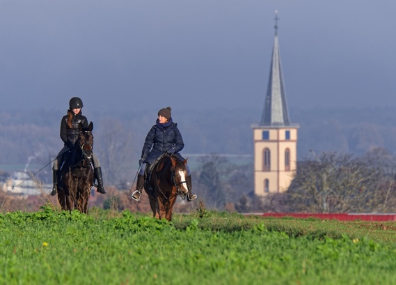 Ueber-den-Ober-Ramstaedter-Weg-hinab-nach-Zimmern