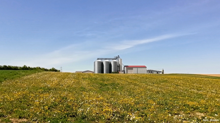 Reenergie Reinheim, Bio-Gas-Anlage