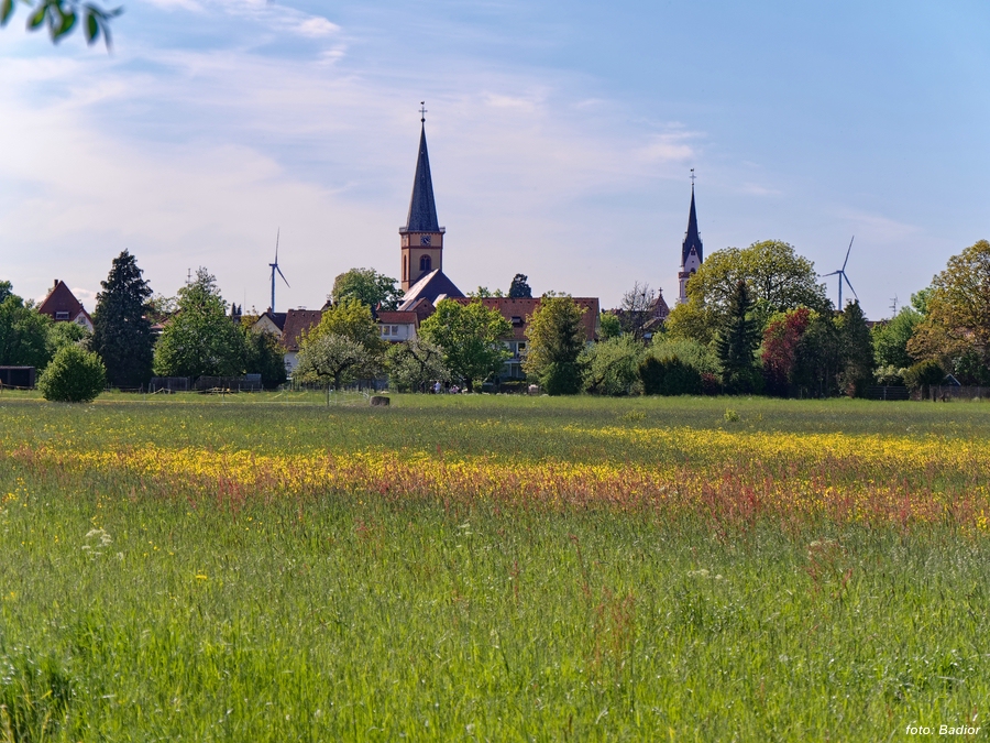 KirchtuermeGrZi_bunteWiese_von_KlZi