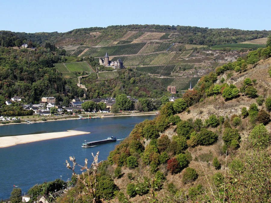 RheinW-Blick-Bacharach.jpg